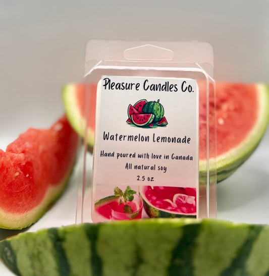 Watermelon Lemonade Wax Melt